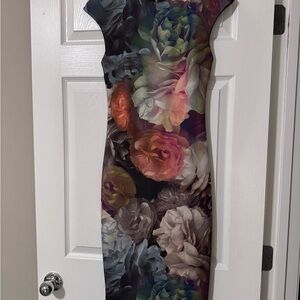 Tes Baker Floral Multicolor Women's Dress